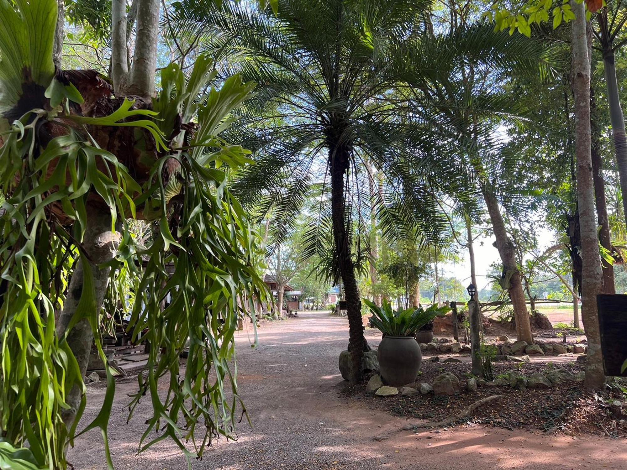 Pang Mai Resort Songkhla Eksteriør billede