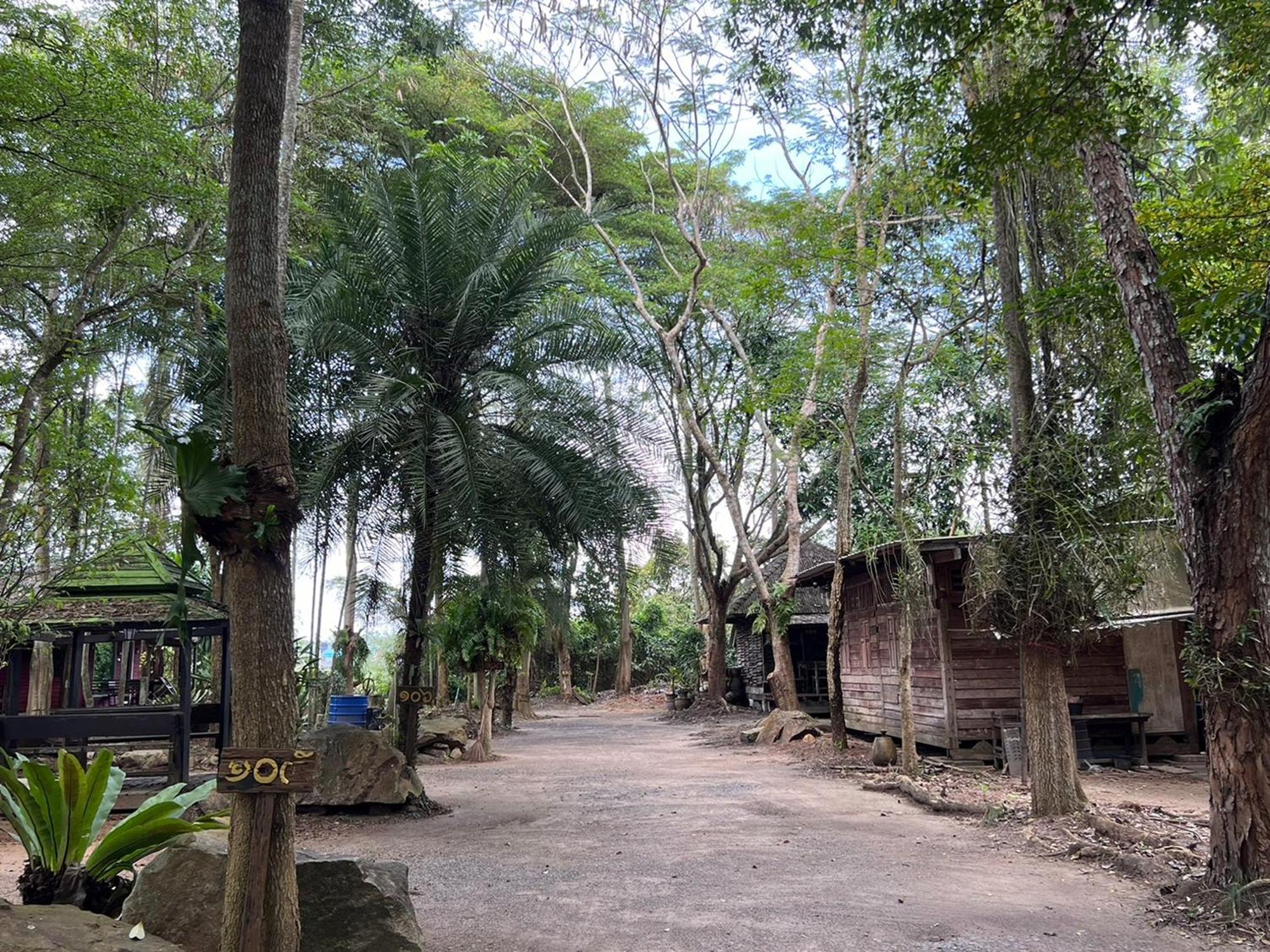 Pang Mai Resort Songkhla Eksteriør billede
