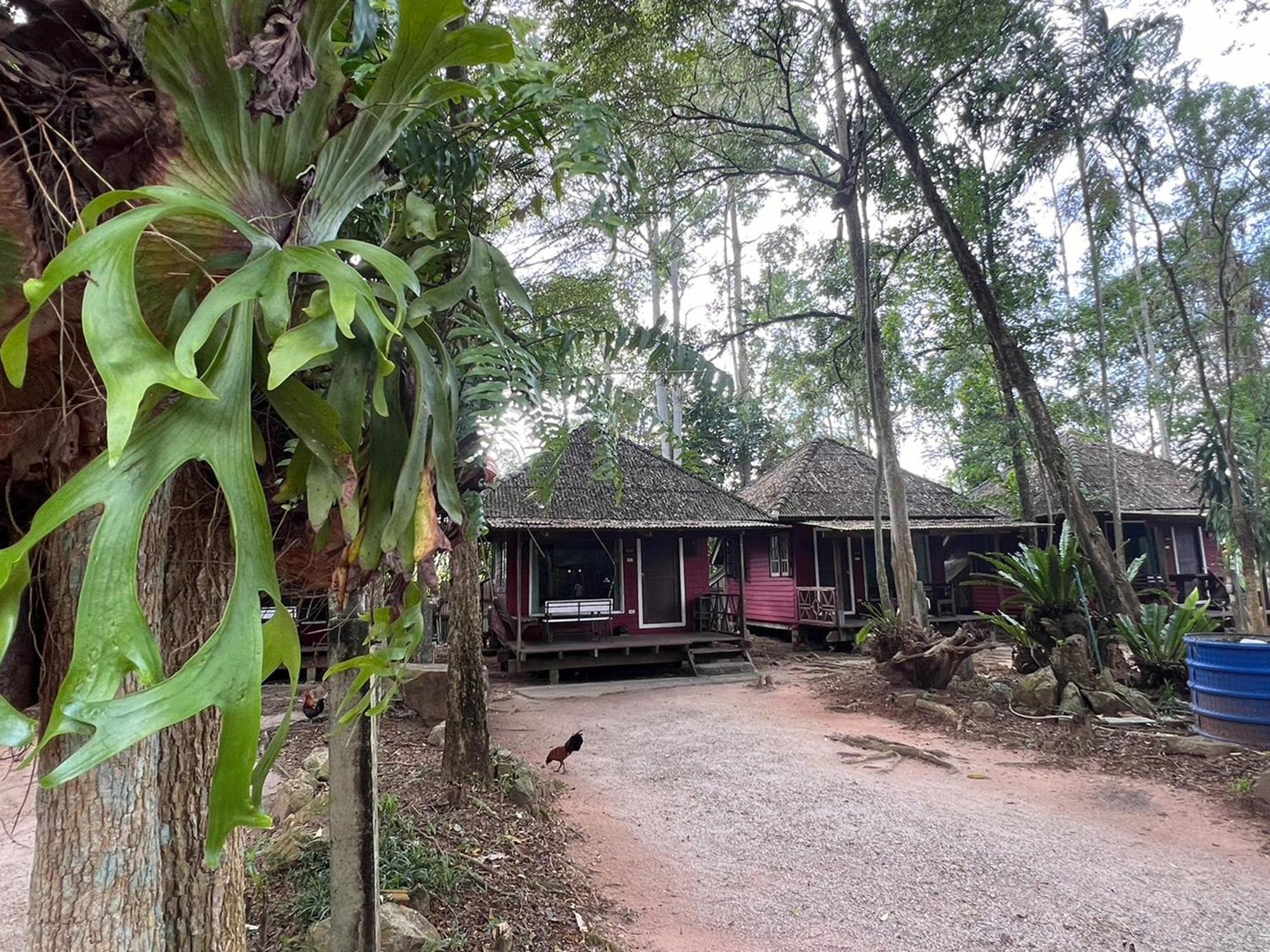 Pang Mai Resort Songkhla Eksteriør billede
