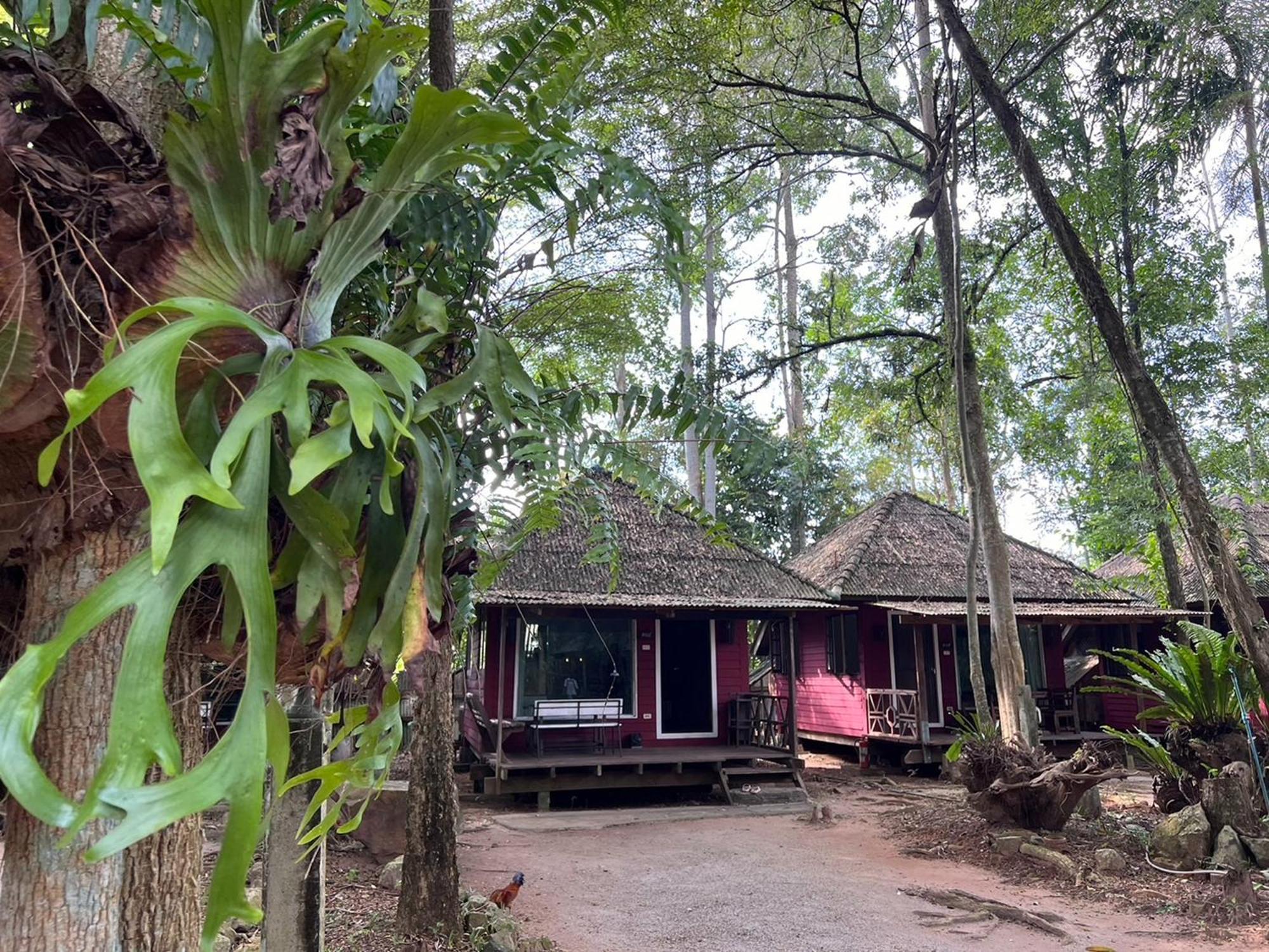 Pang Mai Resort Songkhla Eksteriør billede