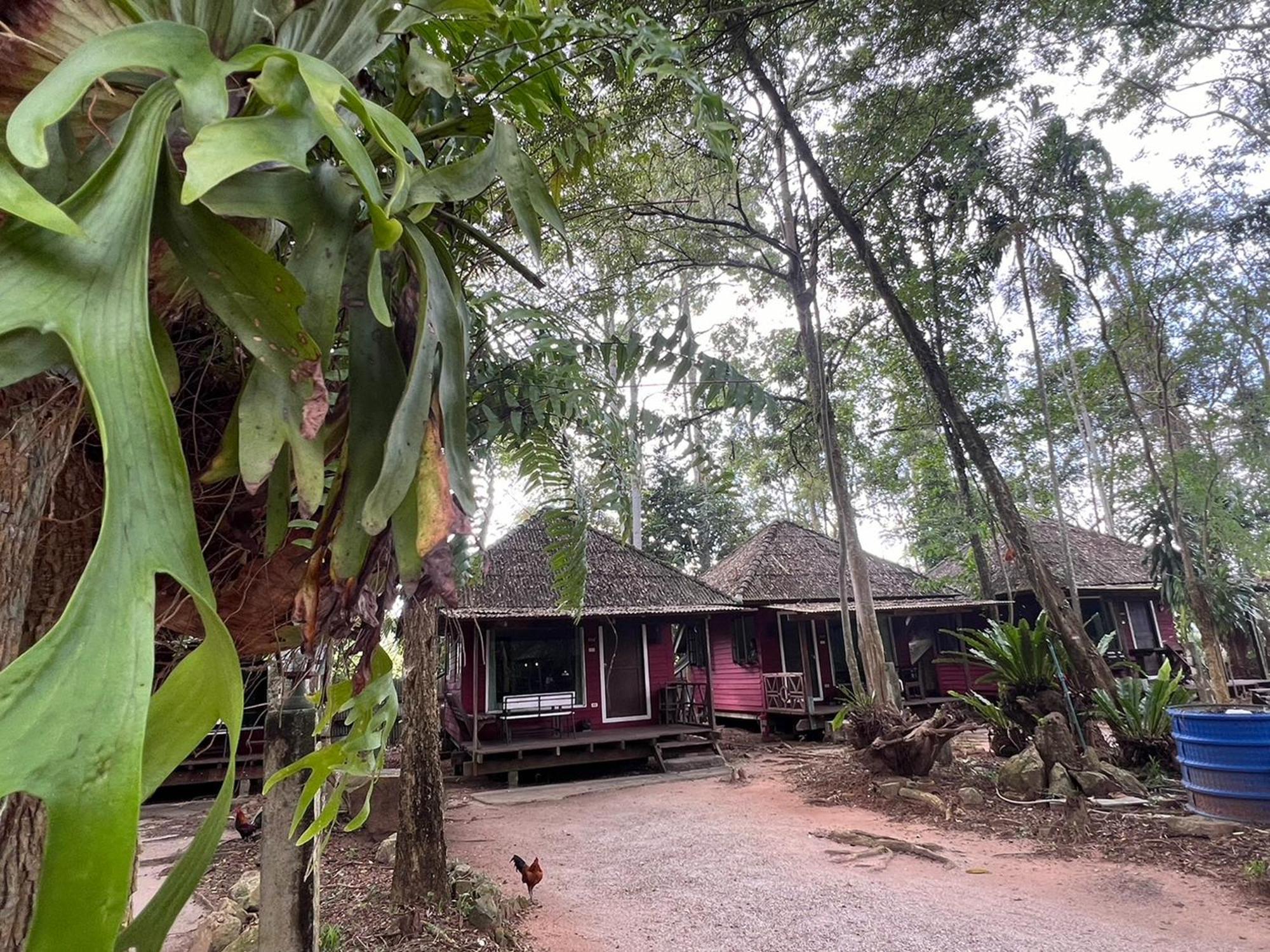 Pang Mai Resort Songkhla Eksteriør billede